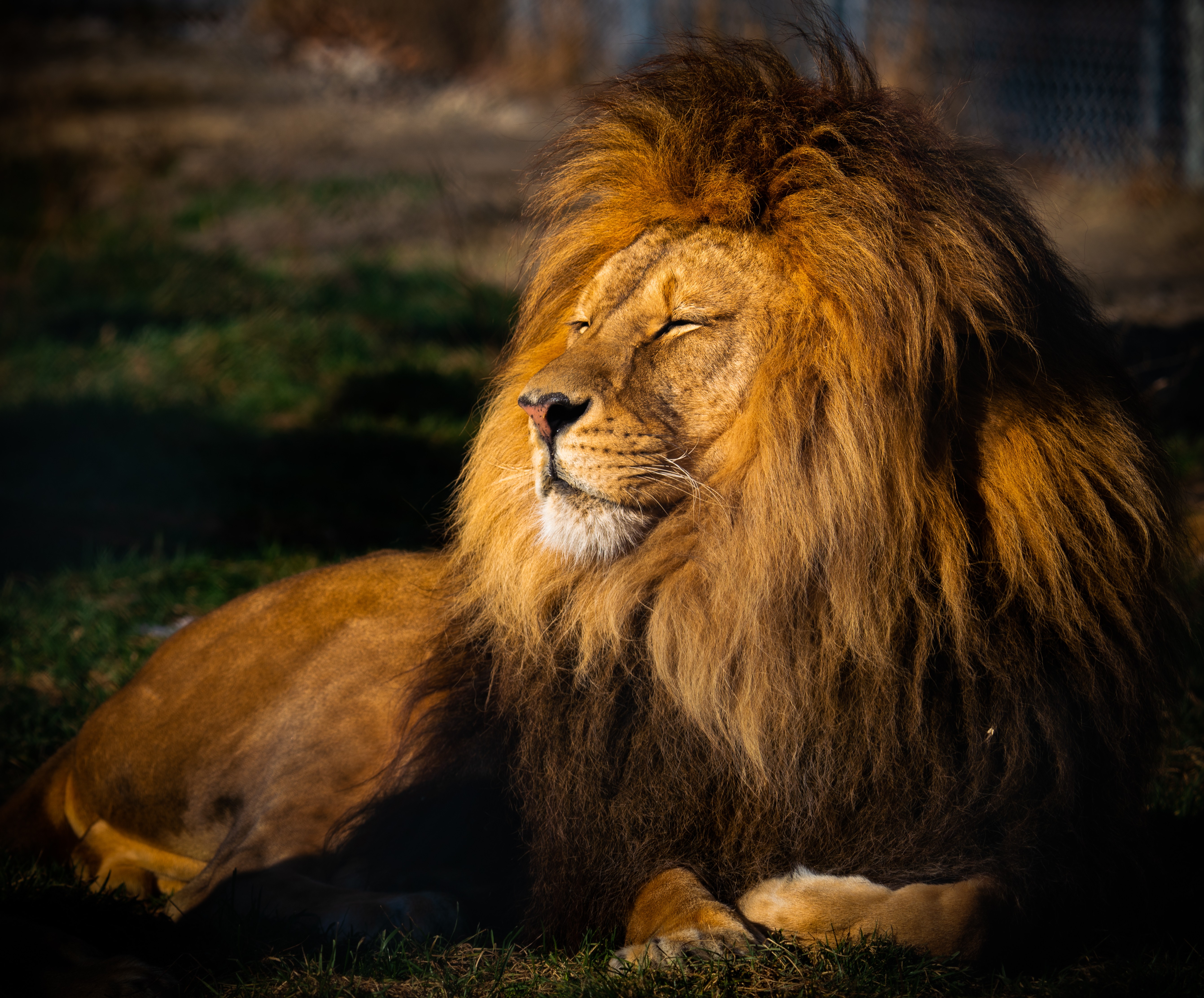 here 7 zoos animal parks